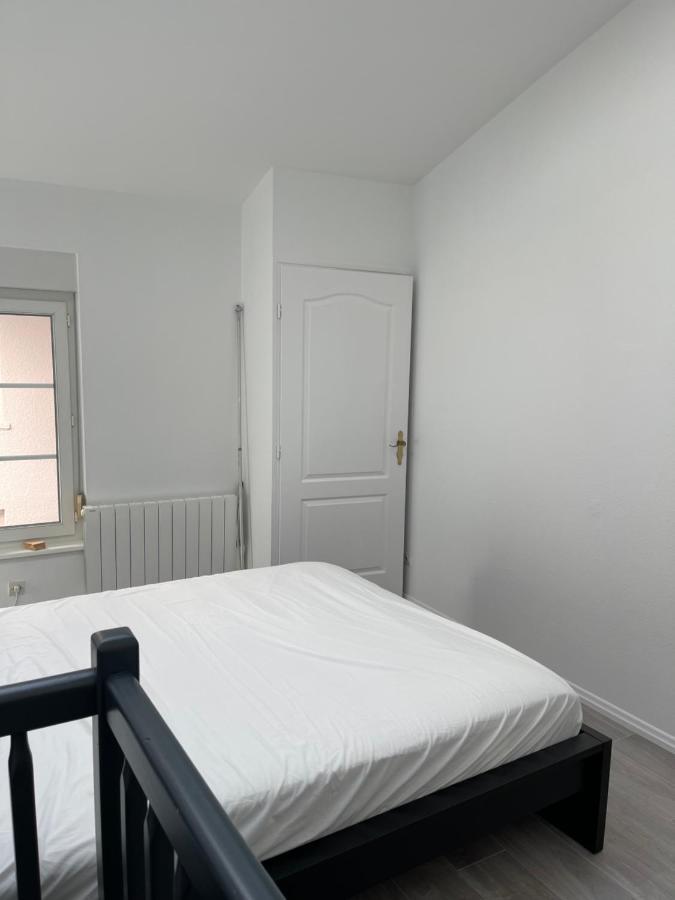 Nancy Hypercentre 34 Rue Des Dominicains ! Apartamento Exterior foto