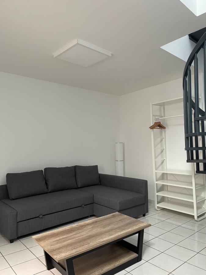 Nancy Hypercentre 34 Rue Des Dominicains ! Apartamento Exterior foto