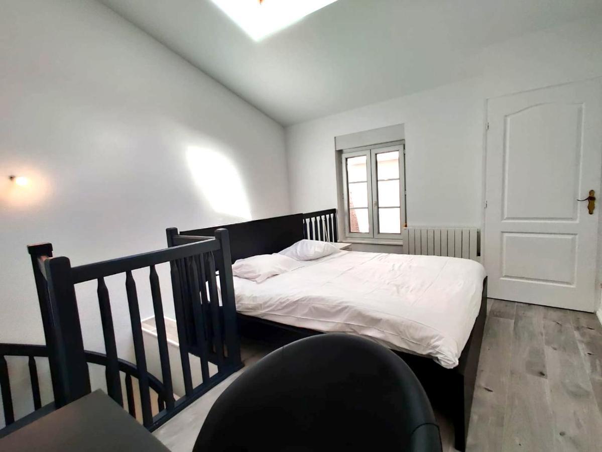 Nancy Hypercentre 34 Rue Des Dominicains ! Apartamento Exterior foto